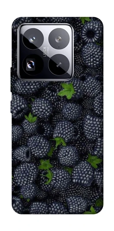 Чехол на Xiaomi 15 Pro Fresh фото 1 из 1