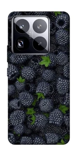 Чохол на Xiaomi 15 Pro Fresh фото 1 з 1