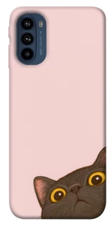 Чохол на Motorola Moto G41 Peeping cat фото 1 з 1
