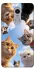 Чохол на Xiaomi Redmi Note 4X / Note 4 (Snapdragon) Cats фото 1 з 1