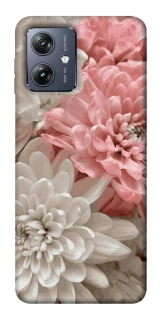 Чохол на Motorola Moto G54 Spring flow фото 1 Чохол на Motorola Moto G54 Spring flow фото 1 з 1