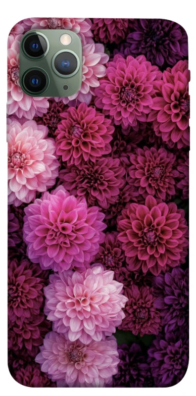 Чохол на Apple iPhone 11 Pro Max (6.5") Garden1 фото 1 з 1