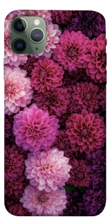 Чохол на Apple iPhone 11 Pro Max (6.5") Garden1 фото 1 з 1