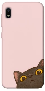 Чохол на Samsung Galaxy A10 (A105F) Peeping cat фото 1 з 1