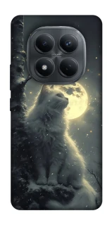 Чохол на Xiaomi Redmi Note 15 Pro 4G Кіт під місяцем фото 1 з 1