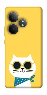 Чехол на Realme GT Neo 6 SE Кот-муркот фото 1 из 1