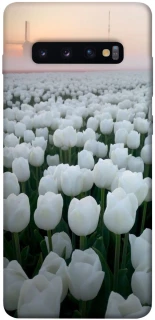 Чохол на Samsung Galaxy S10+ Flowers v1 фото 1 з 1