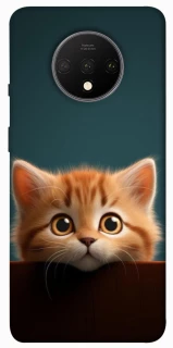 Чехол на OnePlus 7T Чехол Котёнок фото 1 из 1