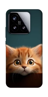 Чохол на Xiaomi 15 Чохол Кошеня фото 1 з 1