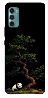 Чохол на Motorola Moto G60 Panda and tree фото 1 з 1