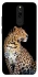 Чохол на Xiaomi Redmi 8 Leopard v2 фото 1 з 1