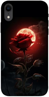 Чохол на Apple iPhone XR (6.1") Червона троянда фото 1 з 1
