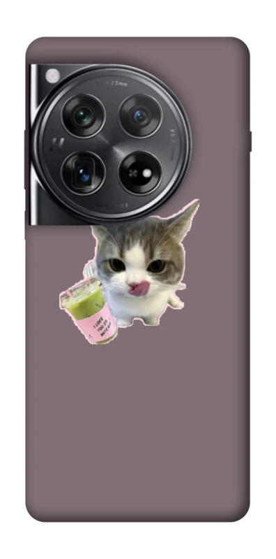 Чохол на OnePlus 12 cat matcha фото 1 з 1