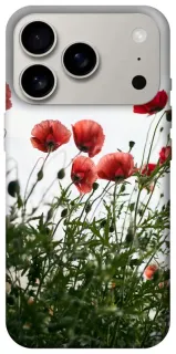 Чохол на Apple iPhone 18 Pro Поле маків фото 1 з 2