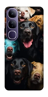 Чехол на Vivo Y300 Собаки фото 1 из 1