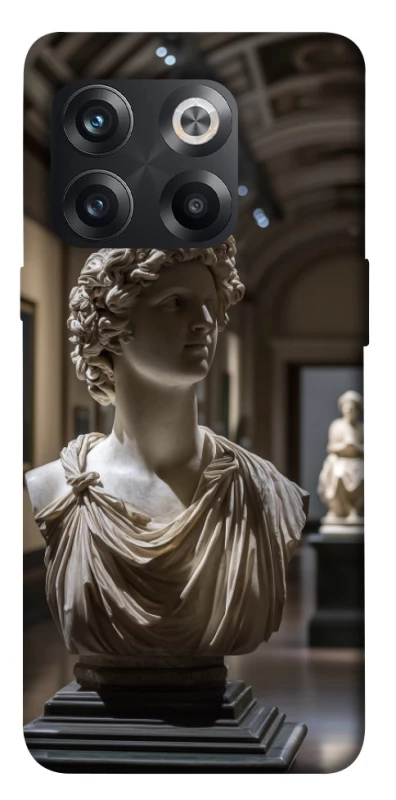Чехол на OnePlus 10T statue фото 1 из 1