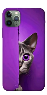 Чохол на Apple iPhone 11 Pro (5.8") Кіт-підглядач фото 1 з 1