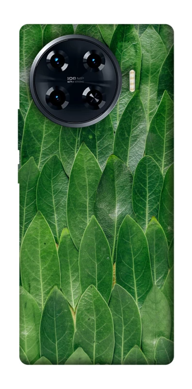 Чехол на TECNO Spark 20 Pro+ Листья фото 1 из 1