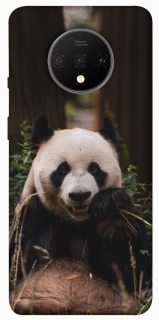 Чохол на OnePlus 7T Панда фото 1 з 1