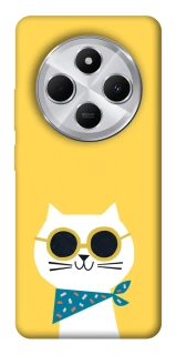 Чехол на Xiaomi Redmi 14C / Poco C75 Кот-муркот фото 1 из 1