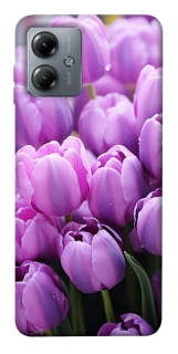 Чехол на Motorola Moto G14 Фиолетовые тюльпаны фото 1 из 1