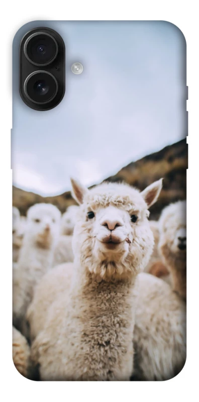 Чохол на Apple iPhone 16 Plus Лама фото 1 з 1