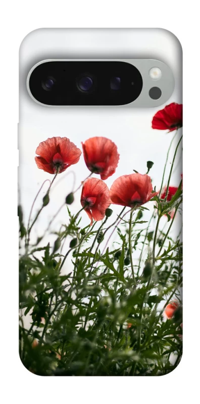 Чехол на Google Pixel 10 Pro XL Поле маков фото 1 из 1