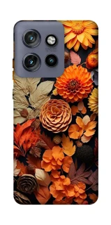 Чохол на Motorola Edge 50 Neo Dreams фото 1 з 1