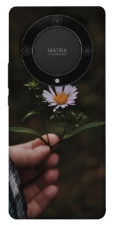 Чехол на Huawei Magic5 Lite Ромашка v4 фото 1 из 1