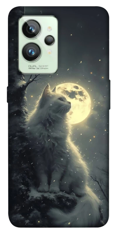 Чохол на Realme GT2 Кіт під місяцем фото 1 з 1