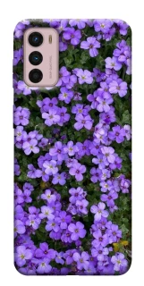 Чехол на Motorola Moto G42 Flowers v17 фото 1 из 1