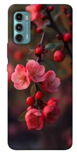 Чехол на Motorola Moto G60 Flowers v28 фото 1 из 1