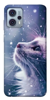 Чохол на Motorola Moto G23 Snow cat фото 1 Чохол на Motorola Moto G23 Snow cat фото 1 з 1