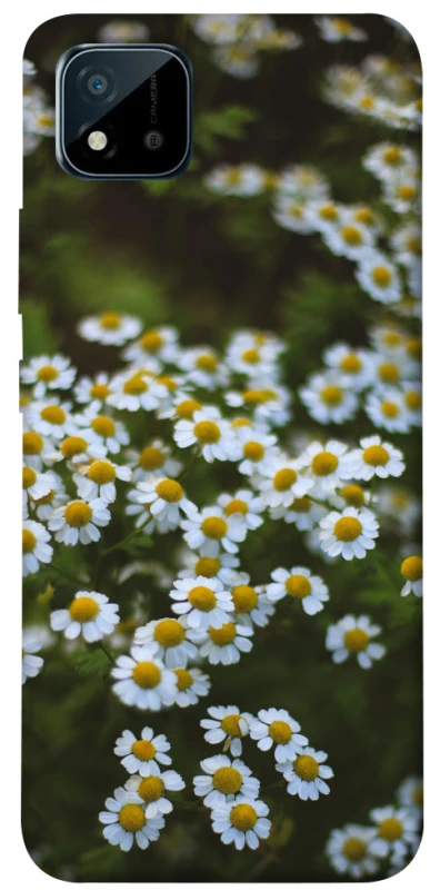 Чехол на Realme C11 (2021) Ромашки v13 фото 1 из 1