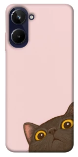 Чохол на Realme 10 4G Peeping cat фото 1 з 1