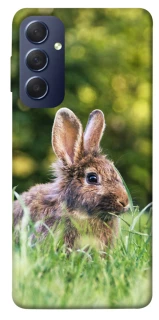 Чехол на Samsung Galaxy M54 5G Кролики фото 1 из 1
