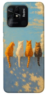 Чехол на Xiaomi Redmi 10C cats on wall фото 1 Чехол на Xiaomi Redmi 10C cats on wall фото 1 из 1