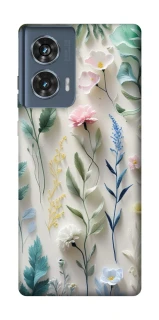 Чехол на Motorola Edge 50 Floral design ver.3 фото 1 из 1