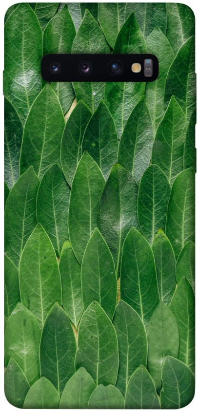 Чехол на Samsung Galaxy S10+ Листья фото 1 из 1