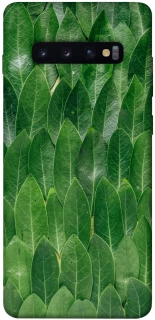 Чохол на Samsung Galaxy S10+ Листя фото 1 з 1