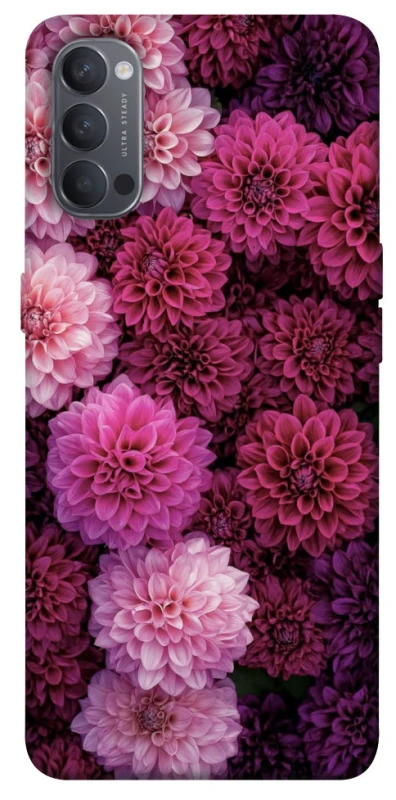 Чехол на Oppo Reno 4 Garden1 фото 1 из 1