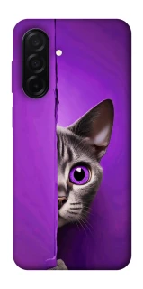 Чехол на Samsung Galaxy A26 5G Кот-подглядыватель фото 1 из 1