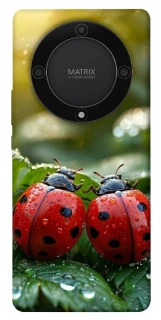 Чехол на Huawei Magic5 Lite Flowers v23 фото 1 из 1