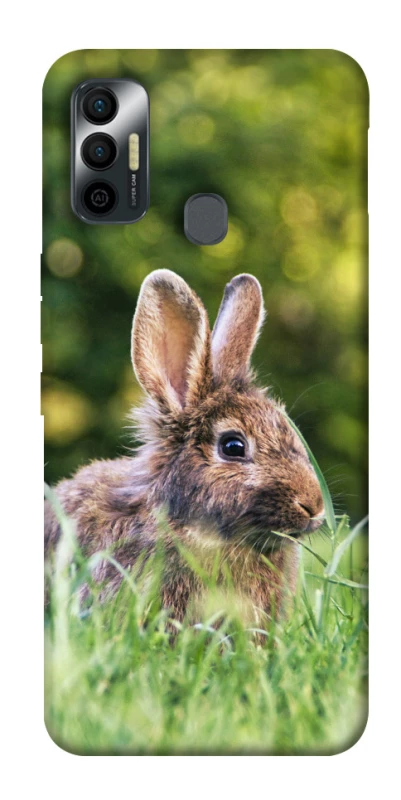 Чехол на TECNO Spark 7 Кролики фото 1 из 1
