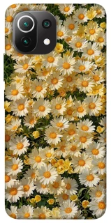 Чохол на Xiaomi Mi 11 Lite Camomile фото 1 з 1