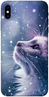 Чехол на Apple iPhone X (5.8") Snow cat фото 1 из 1