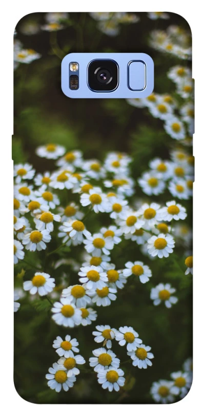 Чехол на Samsung G950 Galaxy S8 Ромашки v13 фото 1 из 1