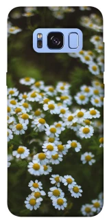 Чехол на Samsung G950 Galaxy S8 Ромашки v13 фото 1 из 1