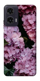 Чохол на Motorola Moto G35 Рожеві гартензії фото 1 з 1