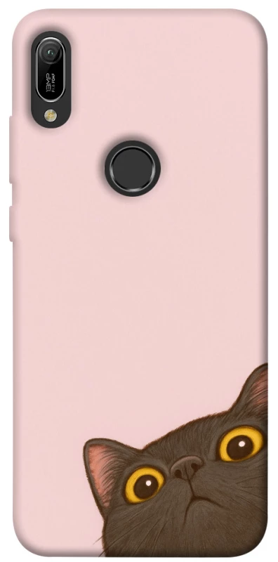 Чехол на Huawei Y6 (2019) Peeping cat фото 1 из 1